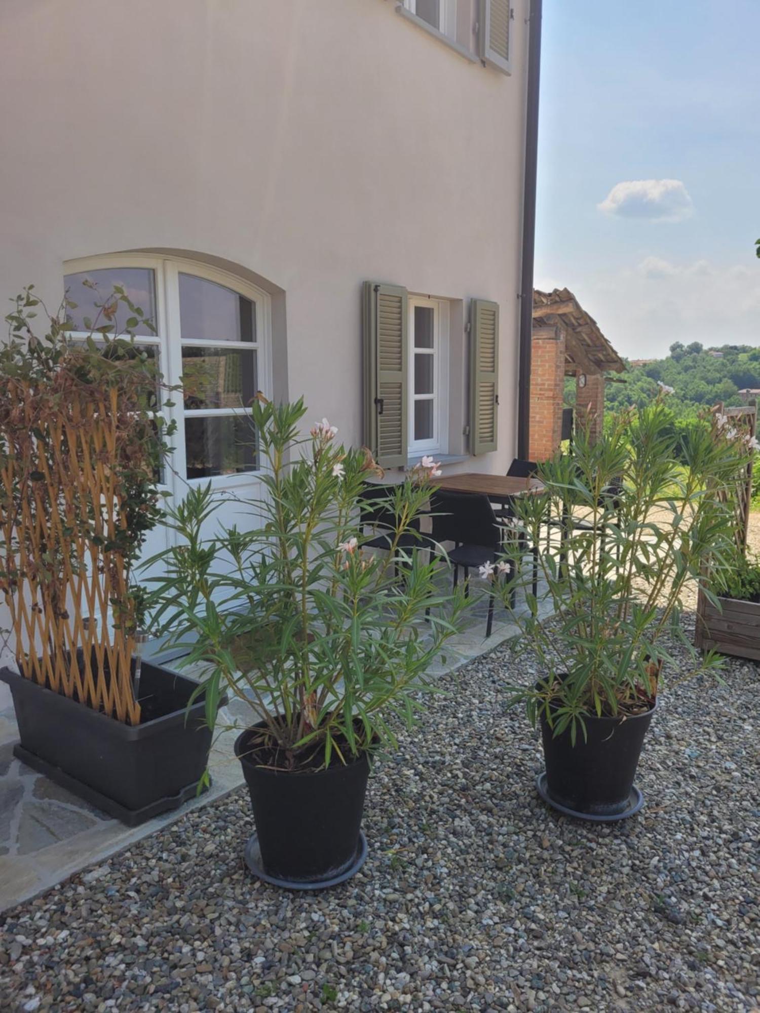 Cascina Allegria Castelnuovo  Exteriér fotografie