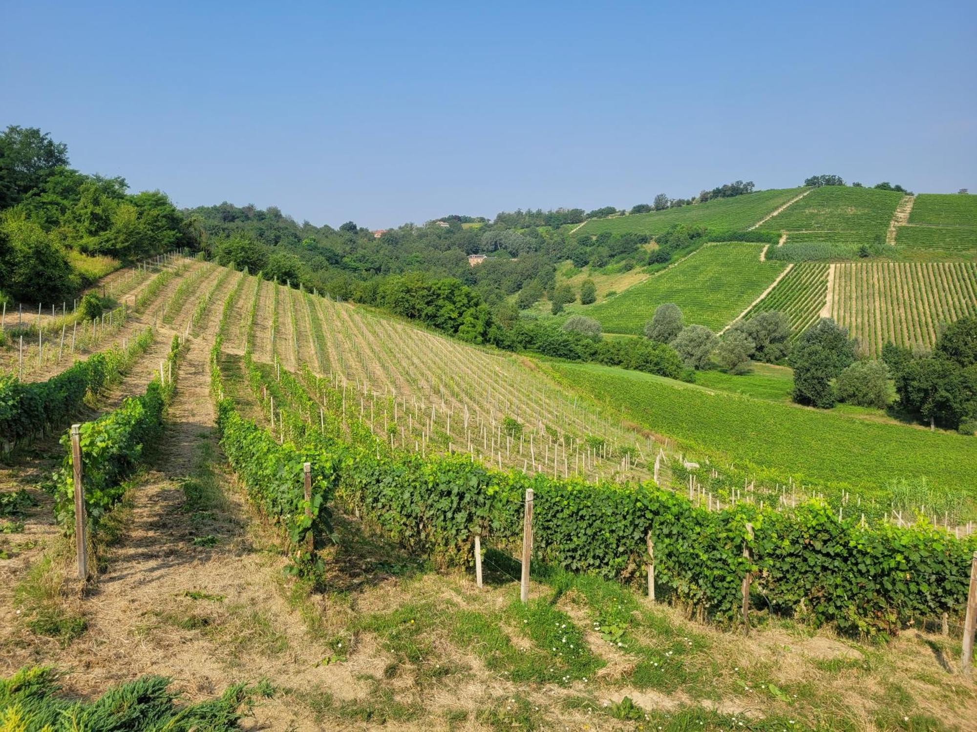 Cascina Allegria Castelnuovo  Exteriér fotografie